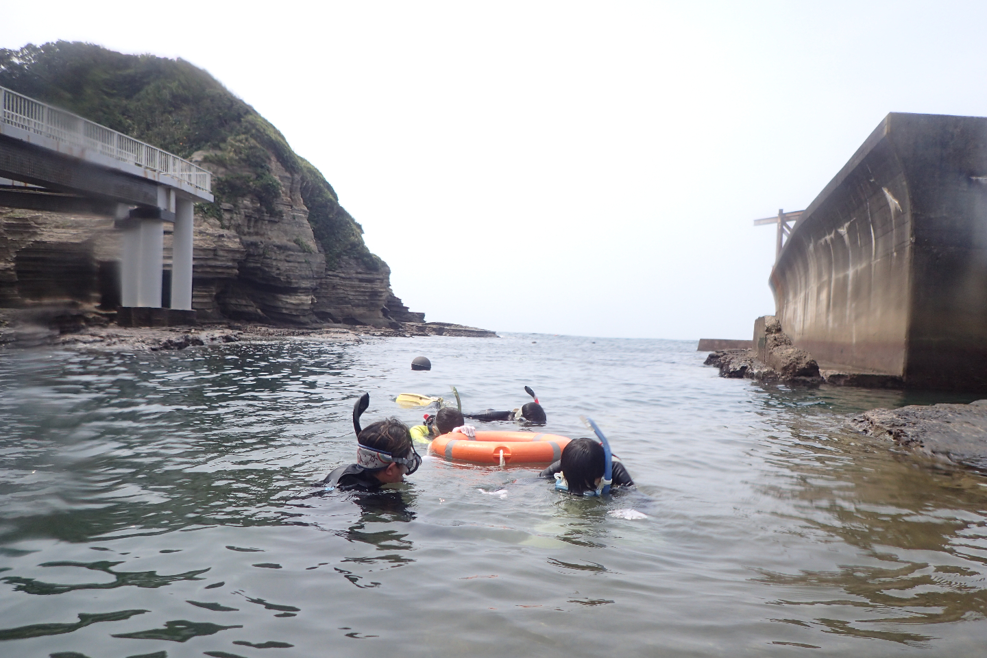 千葉県のシュノーケリングの予約 日本旅行 オプショナルツアー アクティビティ 遊びの体験予約