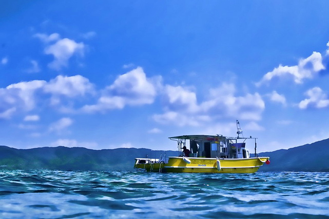 【石垣島・体験ダイビング】澄みきった石垣の海を満喫！大満足の2ダイブ 写真2