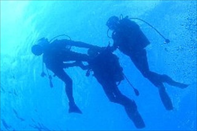 【沖縄県名護市・体験ダイビング】ボードでポイントに！熱帯魚に必ず会える体験ダイビング 写真4