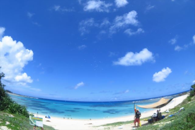 【奄美大島・体験ダイビング】憧れのダイビングに挑戦！半日で手軽に海遊びを楽しもう（写真撮影付） 写真8