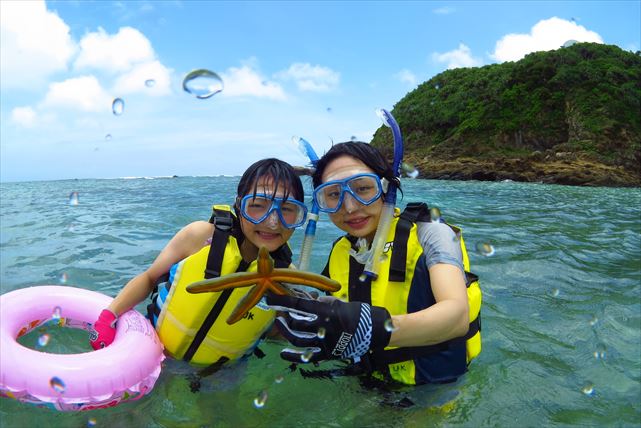 【奄美大島・体験ダイビング】ダイビングとシュノーケルを楽しめる！ぜいたく海三昧プラン（写真撮影付） 写真7