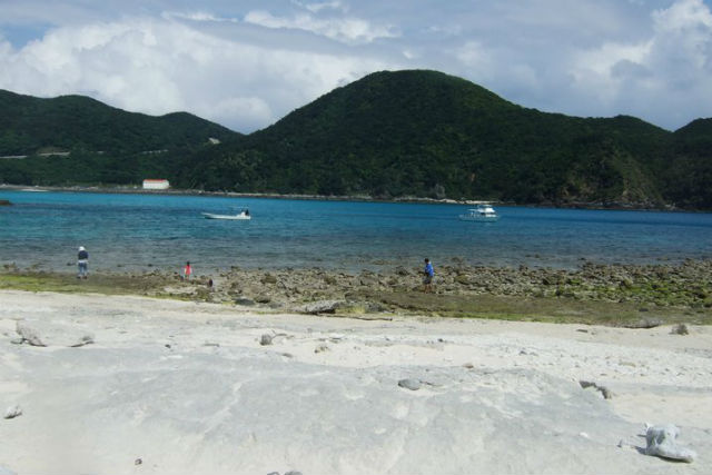 【渡嘉敷島・海水浴】阿波連ビーチで思いっきり遊ぼう！日帰り海水浴プラン 写真6