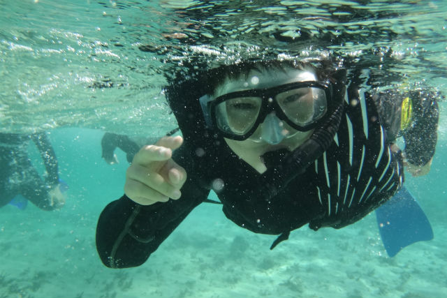 【沖縄・やんばる・シーカヤック1時間＆シュノーケリング1時間】海上と海中から今泊の海を満喫！ 写真3