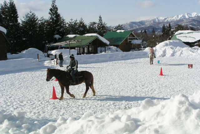 【岐阜県郡上市・乗馬体験・45分】明野高原でカウボーイになろう！ウエスタンスタイルの乗馬体験 写真5
