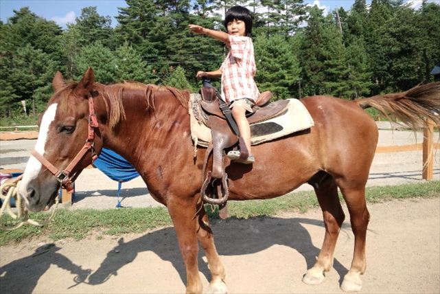 【岐阜県郡上市・乗馬体験・15分】短時間で、誰でもカウボーイになれる！ウエスタンスタイルの乗馬体験 写真7