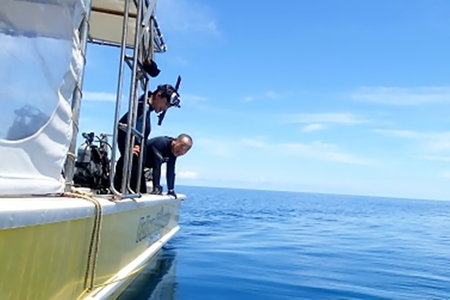 【石垣島・シュノーケリング】お子さまにオススメ！半日プランでお気軽シュノーケリング 写真3