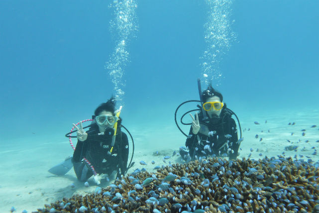 【沖縄阿嘉島・体験ダイビング】初心者も大歓迎！ダイビングデビューを応援します 写真5