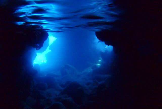 【宮古島・グラスボート】グラスボートで行こう！青の洞窟＆神秘の洞窟郡＆グレートイラブリーフを満喫 写真6