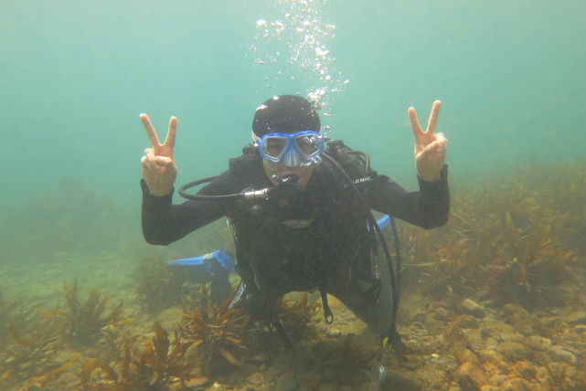 【千葉・ダイビング】あこがれの海へ！ビギナー歓迎、のんびり水中世界を楽しもう 写真6