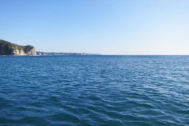 【千葉・ダイビング】あこがれの海へ！ビギナー歓迎、のんびり水中世界を楽しもう 写真7