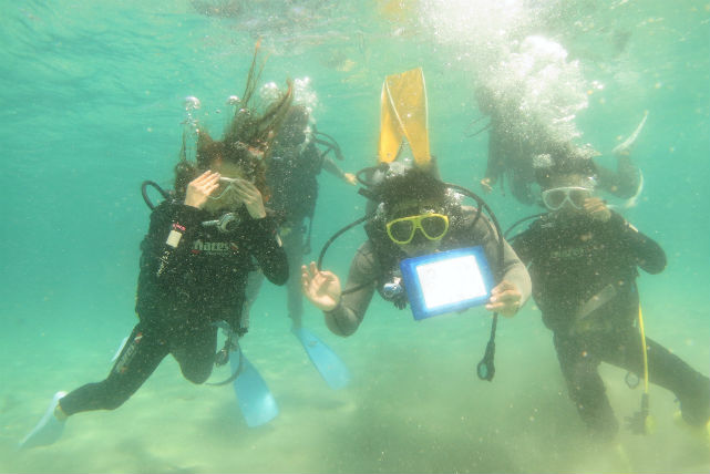 【柏島・体験ダイビング】柏島の海へ潜ってみよう！初心者の方におすすめの体験ダイビングプラン 写真7