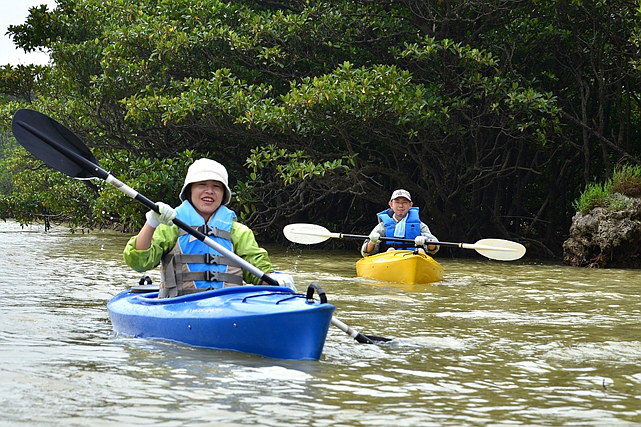 【沖縄県石垣島・自然体験】天然記念物を観察！ゆったり宮良川マングローブカヌー 写真6