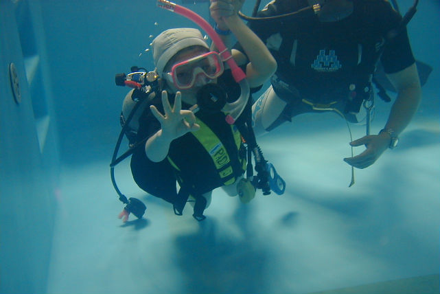 ネットで予約できる体験プラン 体験 ツアー 岡山観光web 公式 岡山県の観光 旅行情報ならココ