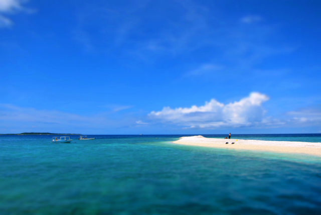 【西表島・体験ダイビング・半日】気軽に潜れる体験ダイビング！ベストポイントへご案内！ 写真6