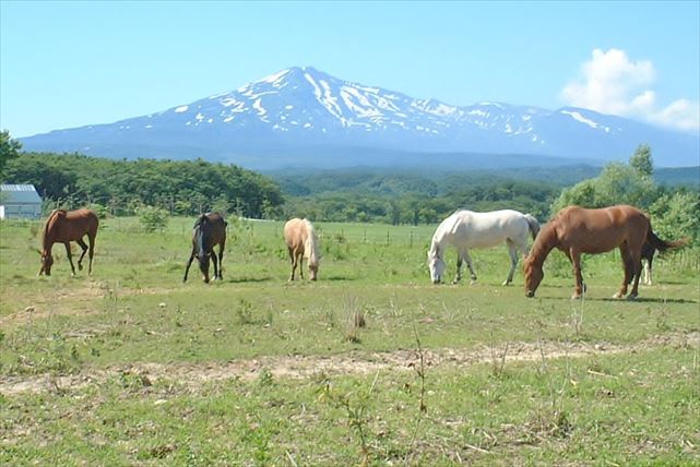 【秋田・体験乗馬】乗馬デビューに最適！鳥海山のふもとで楽しむ体験乗馬 写真5