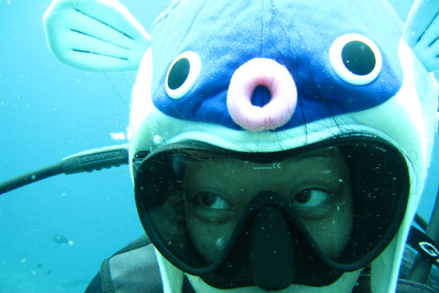 【沖縄・石垣島・1日・ダイビング】海の世界をたっぷり満喫しよう！1日体験ダイビング 写真4