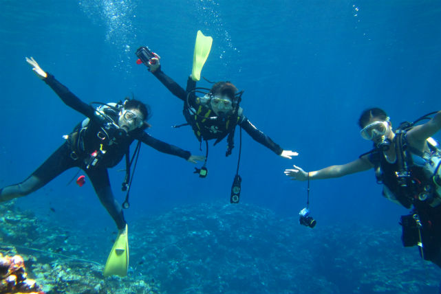 【沖縄・石垣島・1日・ダイビング】海の世界をたっぷり満喫しよう！1日体験ダイビング 写真5