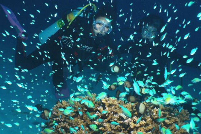 【沖縄県中頭郡・ライセンス取得】ダイバーを目指そう！PADIオープンウォーターダイバー（2日間） 写真7
