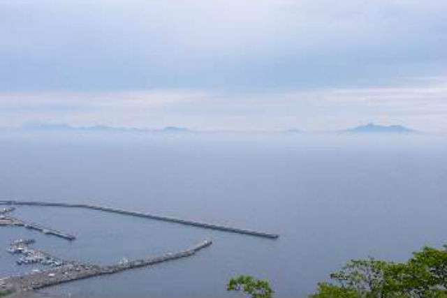 【北海道知床・バードウォッチング】ガイドが1日同行します！知床・根室管内バードウォッチング 写真3