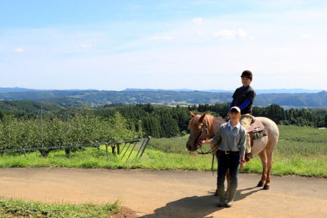 【宮城蔵王・乗馬体験】人懐こい小柄な馬で安心乗馬体験！蔵王の四季をポクポク乗馬で感じよう！ 写真8