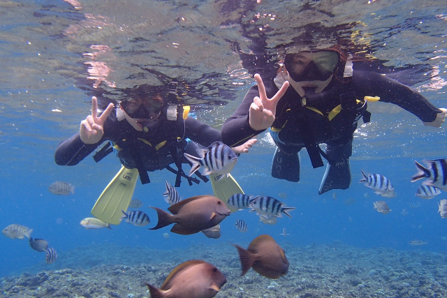 【沖縄・青の洞窟・シュノーケリング】ビーチから向かおう！初めてでも安心シュノーケリング 写真6