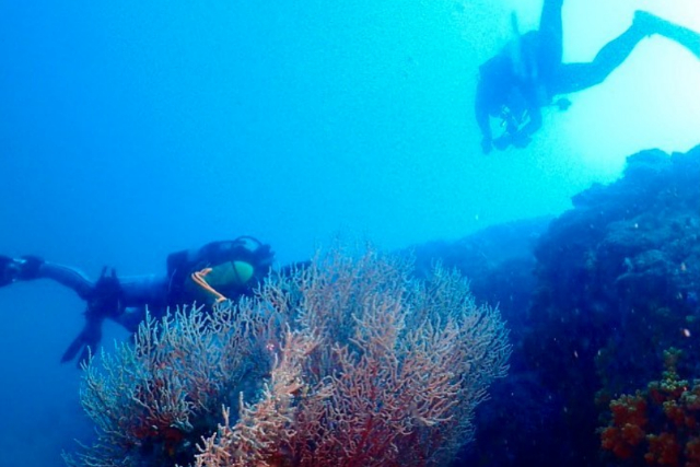 【期間限定ポイント10%還元！豊田・ライセンス取得】PADI・OWダイバーライセンス取得！バディと自由に潜れるようになろう！ 写真8