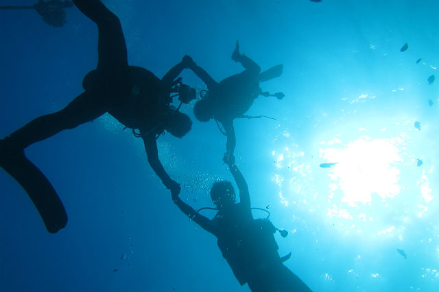 【沖縄県国頭郡・体験ダイビング】沖縄の海に手軽に潜れる！体験ダイビング（1ビーチ） 写真5