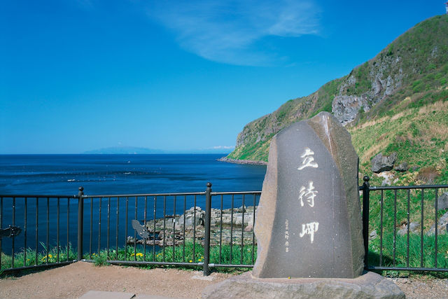 【函館・観光タクシー・3時間】リムジンでの贅沢な観光ツアー！名スポットを巡る・満喫コース 写真2