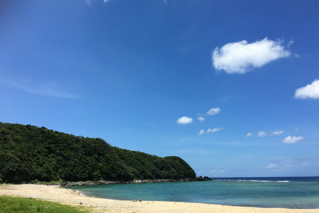 【沖縄・国頭村・シュノーケリング】足がつくので安心！ビーチから行くシュノーケリング体験 写真2