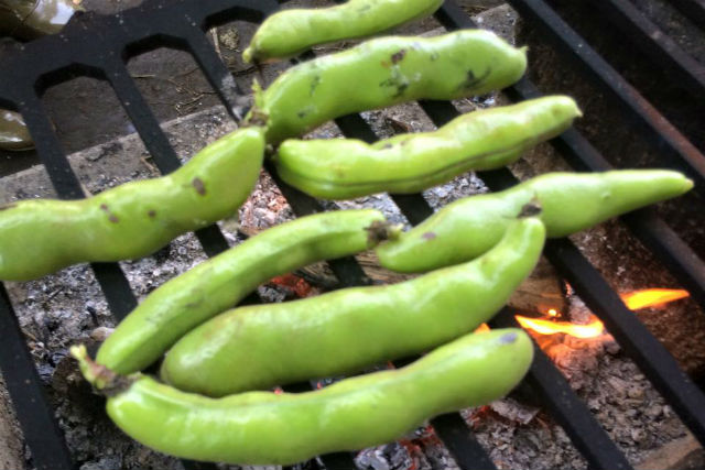 Bプラン【千葉・木更津市・BBQ 】食材持ち込み式！緑あふれる農園で仲間とBBQ！ 写真3