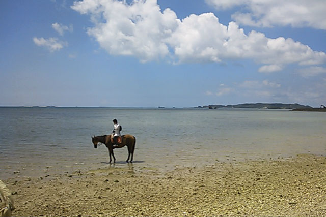【沖縄・宮城島・乗馬体験】乗馬で海と森を満喫！ビーチと林トレッキング・90分 写真4