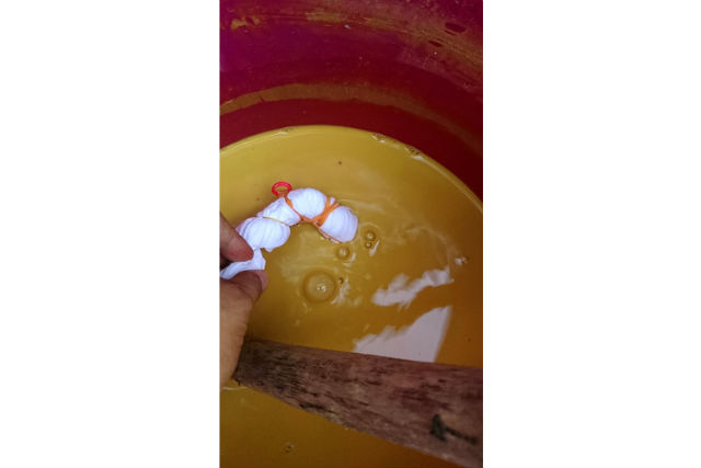 【沖縄北部・染物体験】カラフルな自然素材で染める手ぬぐい！藍染めや土染めにチャレンジ 写真5