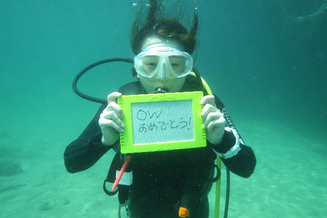【広島・福山・ダイビング・ライセンス取得】ショップで1泊！島根の海でPADIのCカードを取得！