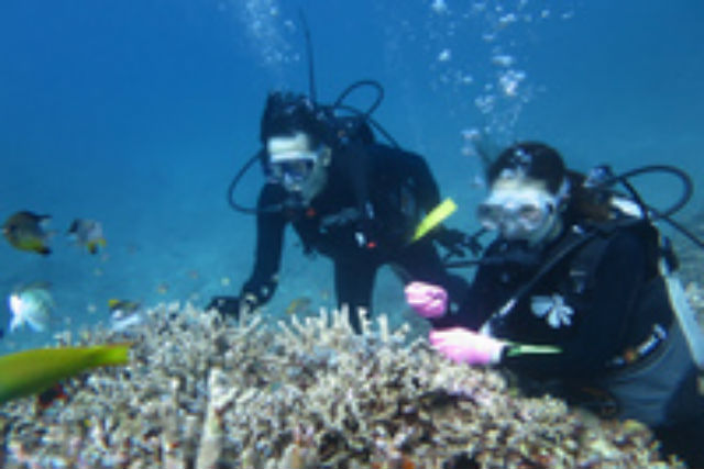 【沖縄・瀬底島・体験ダイビング】ボートから別世界へと飛び込もう！瀬底島・ボート体験ダイビング 写真3