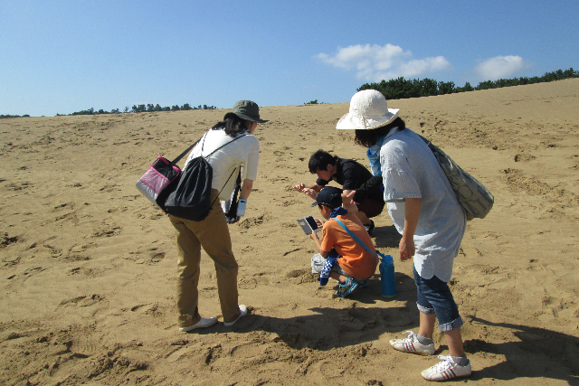 【鳥取県・鳥取市・ガイドツアー】鳥取砂丘で遊びながら学べる、夏休み自由研究コース 写真4