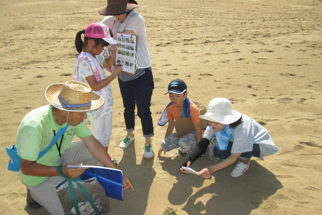 【鳥取県・鳥取市・ガイドツアー】鳥取砂丘で遊びながら学べる、夏休み自由研究コース 写真3