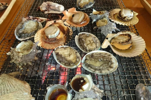【熊本・天草市・イルカウォッチング】心も体も大満足！イルカウォッチング＆海鮮BBQツアー 写真4