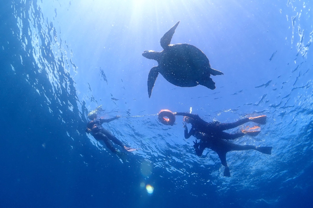 【沖縄・石垣島・シュノーケリング】幻の島上陸＆シュノーケリング2種（1日）