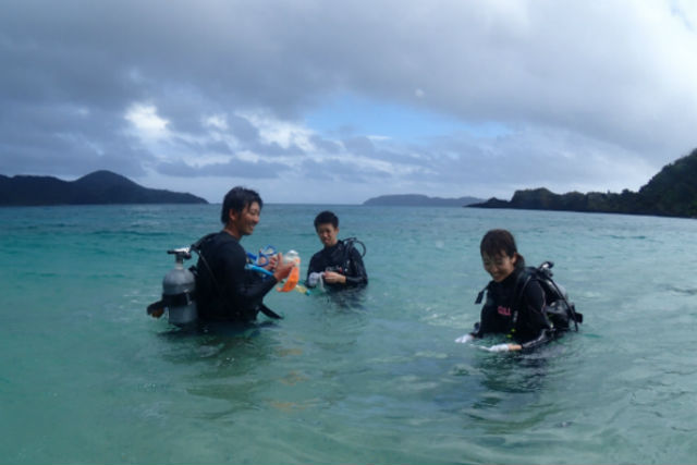 【奄美大島・ダイビング】初心者に安心！ウミガメとも泳げる体験ダイビング 写真3