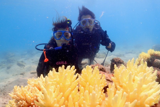 【奄美大島・ダイビング】初心者に安心！ウミガメとも泳げる体験ダイビング 写真4