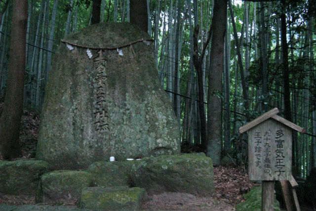 【和歌山・熊野古道・トレッキング】日本三大古道・大門坂コース（50分） 写真5