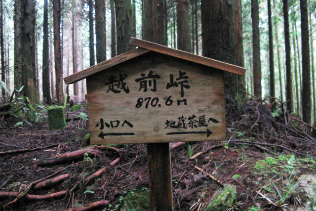 【和歌山・熊野古道・トレッキング】上級者にオススメ！大雲取り越えコース（6時間） 写真5