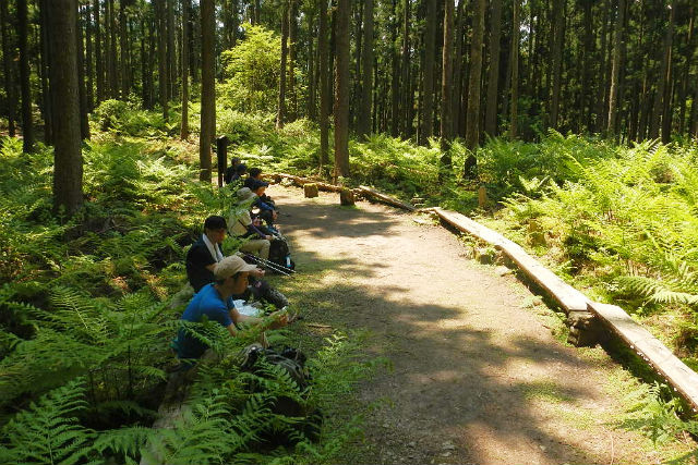 【和歌山・熊野古道・トレッキング】上級者にオススメ！小雲取り越えコース（～7時間） 写真6