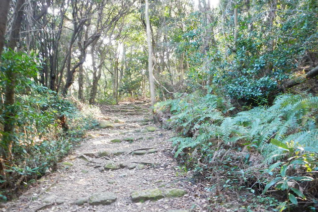 【和歌山・熊野古道・トレッキング】速玉大社～高野坂コース（4時間30分） 写真6