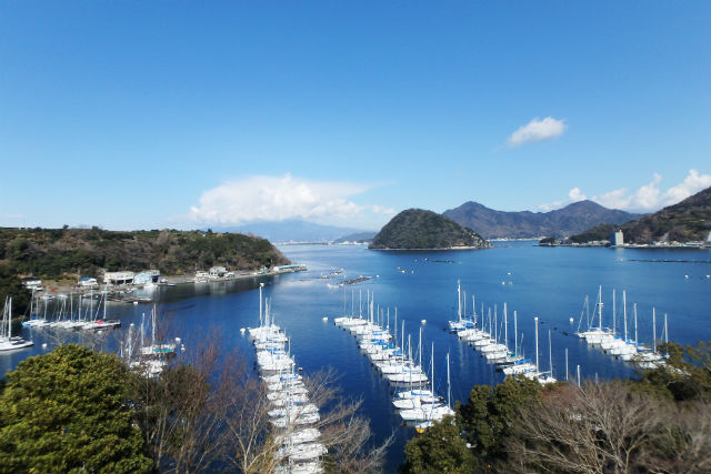 【静岡・沼津・カヤック】穏やかな湾内で初めてのツーリング！ランチ付きシーカヤックツアー 写真8