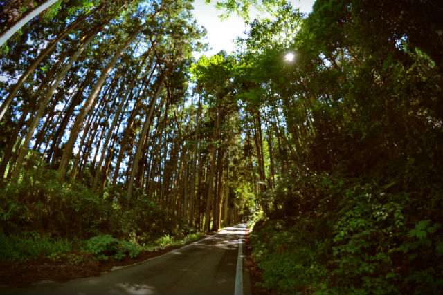 【岐阜・サイクリング】長良川でサイクリング！隠れスポット満載の3時間 写真6