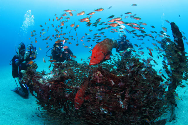 【静岡・浜松市内発・ライセンス講習】NAUI アドバンスライセンス（2日間） 写真5