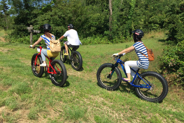 【鳥取・マウンテンバイク】ファットバイクを満喫！鳥取砂丘・山道・ビーチを行く絶景ツアー（写真データプレゼント） 写真8