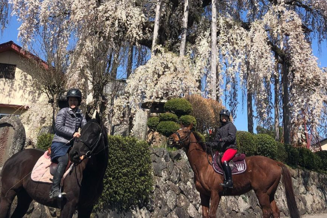 【期間限定ポイント10%還元！山形・乗馬体験】蔵王の麓で開催！乗馬の楽しさを体験してみよう！  写真2