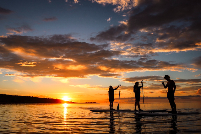 【沖縄・西表島・SUP】マングローブと朝日・夕日が楽しめる！SUPorカヌーツアー（写真データ無料） 写真8